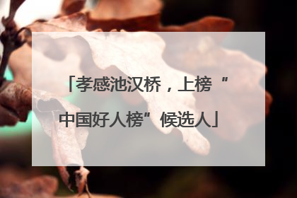 孝感池汉桥，上榜“中国好人榜”候选人