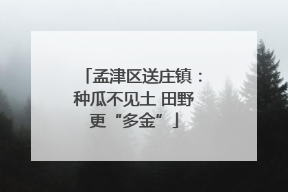 孟津区送庄镇：种瓜不见土 田野更“多金”