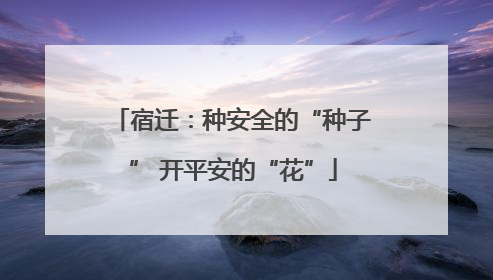 宿迁：种安全的“种子” 开平安的“花”