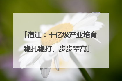 宿迁：千亿级产业培育稳扎稳打、步步攀高
