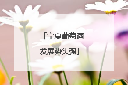 宁夏葡萄酒发展势头强