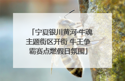 宁夏银川黄河·牛魂主题街区开街 牛王争霸赛点燃假日氛围