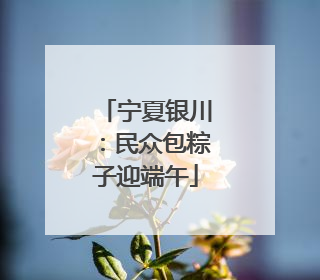 宁夏银川：民众包粽子迎端午