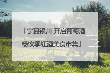 宁夏银川 开启葡萄酒畅饮季红酒美食市集