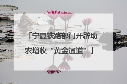 宁夏铁路部门开辟助农增收“黄金通道”