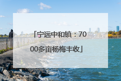 宁远中和镇：7000多亩杨梅丰收