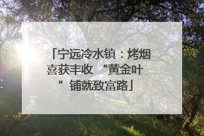 宁远冷水镇：烤烟喜获丰收 “黄金叶”铺就致富路