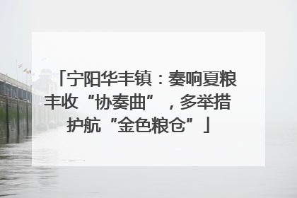 宁阳华丰镇：奏响夏粮丰收“协奏曲”，多举措护航“金色粮仓”