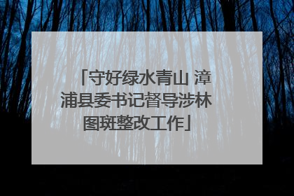 守好绿水青山 漳浦县委书记督导涉林图斑整改工作