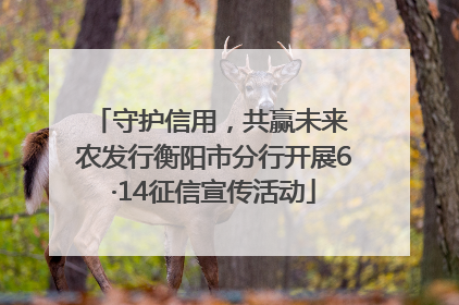 守护信用，共赢未来 农发行衡阳市分行开展6·14征信宣传活动