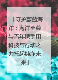 守护蔚蓝海洋：海洋至尊与青年携手用科技与行动之力托起纯净未来