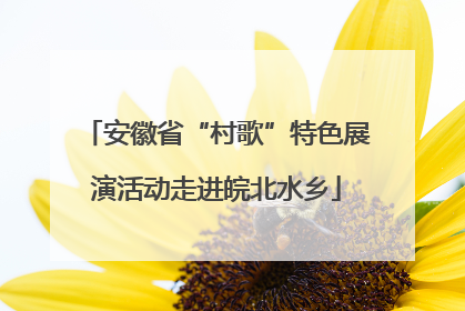 安徽省“村歌”特色展演活动走进皖北水乡