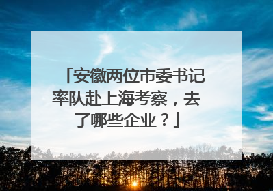 安徽两位市委书记率队赴上海考察，去了哪些企业？