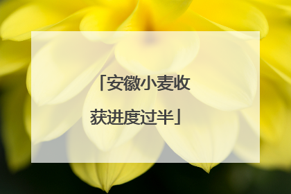 安徽小麦收获进度过半