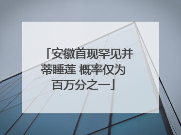 安徽首现罕见并蒂睡莲 概率仅为百万分之一