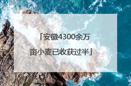 安徽4300余万亩小麦已收获过半