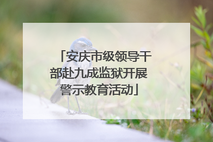安庆市级领导干部赴九成监狱开展警示教育活动
