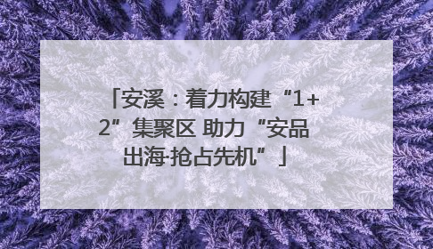 安溪：着力构建“1+2”集聚区 助力“安品出海·抢占先机”