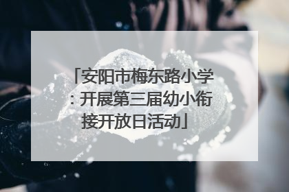 安阳市梅东路小学：开展第三届幼小衔接开放日活动