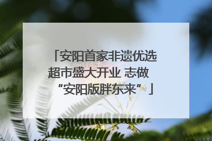 安阳首家非遗优选超市盛大开业 志做“安阳版胖东来”