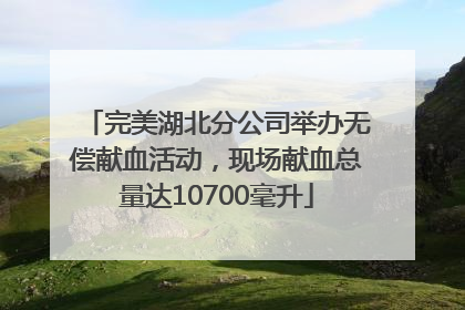 完美湖北分公司举办无偿献血活动，现场献血总量达10700毫升