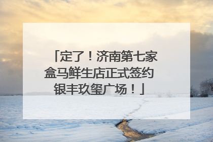 定了！济南第七家盒马鲜生店正式签约银丰玖玺广场！