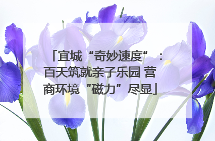 宜城“奇妙速度”：百天筑就亲子乐园 营商环境“磁力”尽显