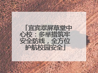 宜宾翠屏草堂中心校：多举措筑牢安全防线，全方位护航校园安全