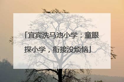 宜宾洗马池小学：童眼探小学，衔接没烦恼