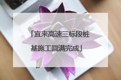 宜来高速三标段桩基施工圆满完成