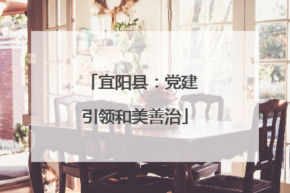 宜阳县：党建引领和美善治