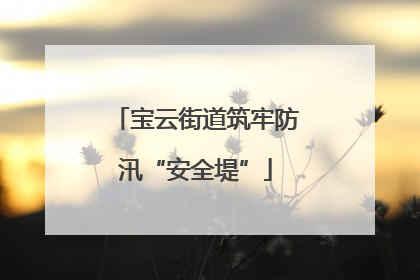宝云街道筑牢防汛“安全堤”