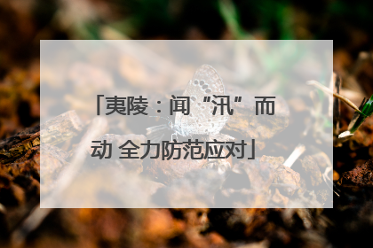 夷陵：闻“汛”而动 全力防范应对