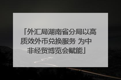 外汇局湖南省分局以高质效外币兑换服务 为中非经贸博览会赋能