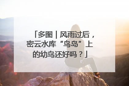 多图｜风雨过后，密云水库“鸟岛”上的幼鸟还好吗？