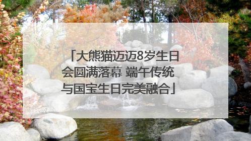 大熊猫迈迈8岁生日会圆满落幕 端午传统与国宝生日完美融合