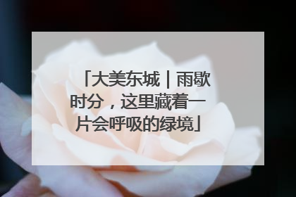 大美东城｜雨歇时分，这里藏着一片会呼吸的绿境