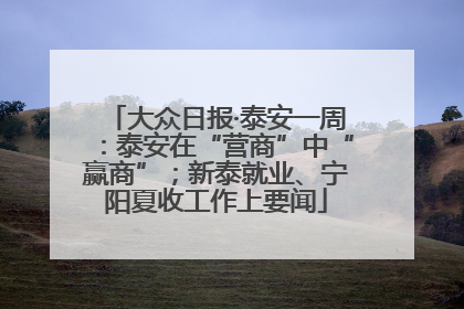 大众日报·泰安一周：泰安在“营商”中“赢商”；新泰就业、宁阳夏收工作上要闻
