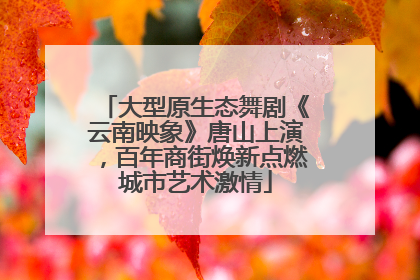 大型原生态舞剧《云南映象》唐山上演，百年商街焕新点燃城市艺术激情