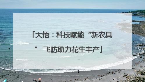 大悟：科技赋能“新农具” 飞防助力花生丰产
