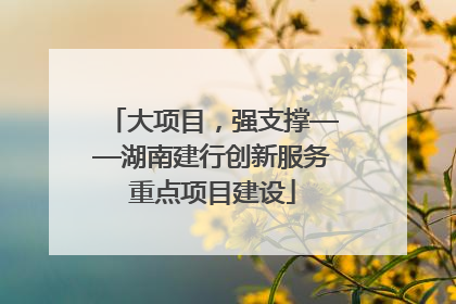 大项目，强支撑——湖南建行创新服务重点项目建设