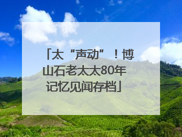 太“声动”！博山石老太太80年记忆见闻存档