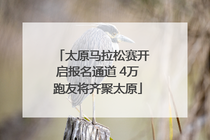 太原马拉松赛开启报名通道 4万跑友将齐聚太原