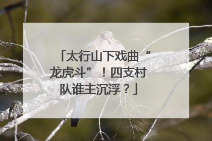 太行山下戏曲“龙虎斗”！四支村队谁主沉浮？