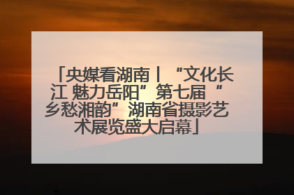 央媒看湖南丨“文化长江 魅力岳阳”第七届“乡愁湘韵”湖南省摄影艺术展览盛大启幕
