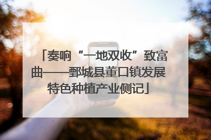 奏响“一地双收”致富曲——鄄城县董口镇发展特色种植产业侧记