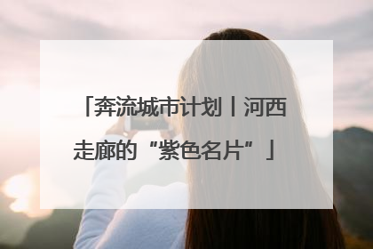 奔流城市计划丨河西走廊的“紫色名片”