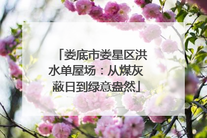 娄底市娄星区洪水单屋场：从煤灰蔽日到绿意盎然