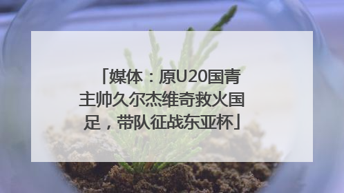 媒体：原U20国青主帅久尔杰维奇救火国足，带队征战东亚杯