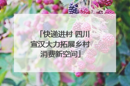 快递进村 四川宣汉大力拓展乡村消费新空间